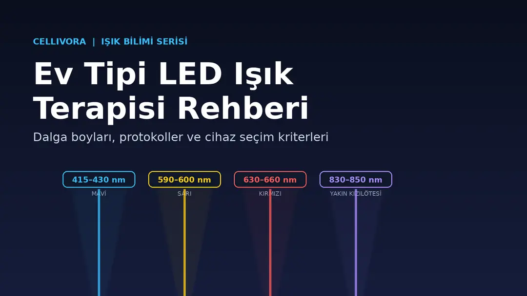 Ev Tipi LED Işık Terapisi Rehberi: Dalga Boyları, Klinik Protokoller ve Cihaz Seçim Kriterleri